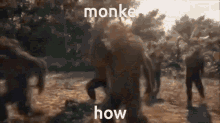 Adventure Of A Lifetime Monkey GIF - Adventure Of A Lifetime Monkey Dance GIFs