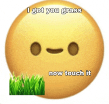 Touch The Grass GIF - Touch The Grass GIFs