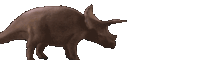 a triceratops is walking on a white background