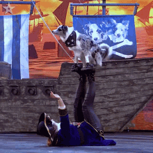 Dog Tricks Amber And The Dancing Collies GIF - Dog Tricks Amber And The Dancing Collies Britains Got Talent GIFs