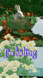 a rabbit is hiding in a bush with the words " i 'm hiding "