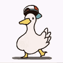 Cap Duck GIF - Cap Duck GIFs