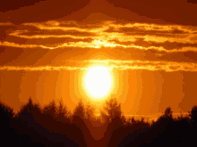 Beautiful Sunset GIF