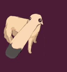Dog Long Nose GIF