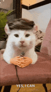 a white cat with a wig on its head is holding a microphone in its hands .