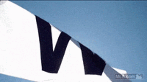 Fly the W Flag Sign