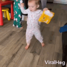 Walking Viralhog GIF - Walking Viralhog Baby Steps GIFs