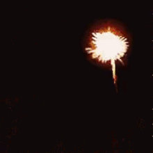Happy New Year2019 Fireworks GIF