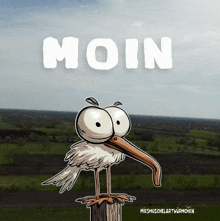 Morning Moin Moin GIF - Morning Moin Moin Servus GIFs