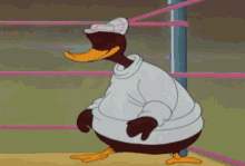 a cartoon duck wearing a white sweater and a hat is standing in a boxing ring