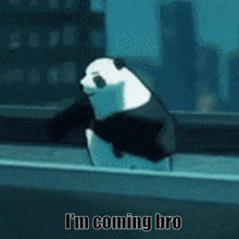 I'M Coming Bro Panda GIF