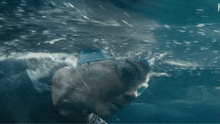 Diana Nyad Swims In The Ocean Nyad Movie GIF - Diana Nyad Swims In The Ocean Nyad Movie Nyad GIFs