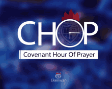 downsign chop covenant hour of prayer david oyedepo lfc