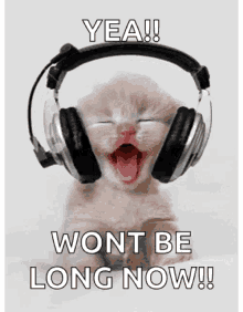 headphones kitty