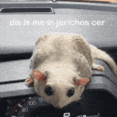 a small white animal is sitting on the dashboard of a car with the words dis is me in jerichos cer below it