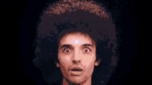 a woman with a surprised look on her face is wearing a purple afro wig .