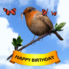 Happy Birthday Birthday Robin GIF - Happy Birthday Birthday Robin Robin And Butterflies GIFs