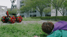a person in a purple jacket is laying in the grass looking at a red and black vehicle