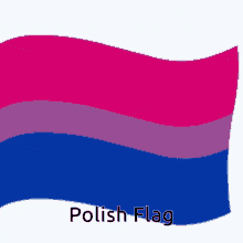 Polish Flag GIF - Polish Flag Qbasty GIFs