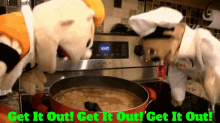Sml Chef Pee Pee GIF - Sml Chef Pee Pee Get It Out GIFs