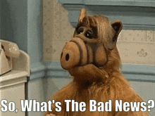 Alf So Whats The Bad News GIF - Alf So Whats The Bad News Bad News GIFs