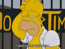 Homer Simpson GIF - Homer Simpson Sobbing GIFs