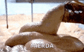 a close up of a pile of poop with the words mierda written on it .