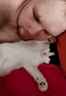 Teravmoon Sleeping GIF - Teravmoon Sleeping Cat GIFs