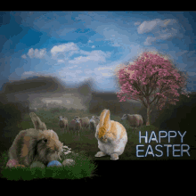 Happy Easter GIF - Happy Easter Sunday GIFs