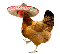 Pollo Mexicano Sticker