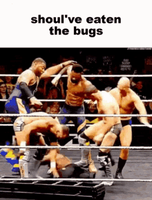 Eat The Bugs We Do A Little Bug Eating GIF - Eat The Bugs We Do A Little Bug Eating Eat The Bugs For The Love Of God GIFs