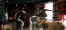 a man and a woman are standing next to a dog in a cage in a vehicle .