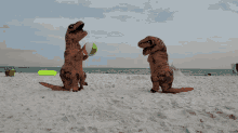 Dinosaur Beach GIF - Dinosaur Beach Dino GIFs