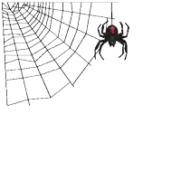 a black widow spider is hanging from a web .