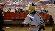 Pittsburgh Penguins Iceburgh GIF - Pittsburgh Penguins Iceburgh Penguins GIFs