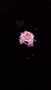 a heart with a pink rose in it