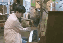 Ryeowook Ryeowook Piano GIF - Ryeowook Ryeowook Piano Ryeowook Prince GIFs