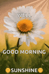 a picture of a daisy with the words well good morning sunshine on it