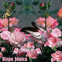 Butterfly Flowers GIF - Butterfly Flowers Nature GIFs