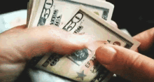 Counting Money Cash GIF