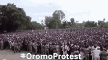 Oromo Oromia GIF - Oromo Oromia Oromo Protest GIFs