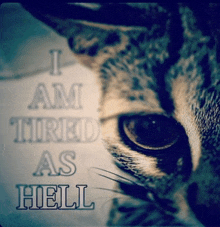 a close up of a cat 's eye with the words " i am tired as hell " in the background