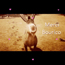 Ane Bourico GIF - Ane Bourico Thanks GIFs