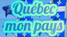 Quebec Québec GIF - Quebec Québec Quebec Flag GIFs