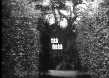 a black and white photo of a tree with a sign that says ' i 'm a man ' on it .