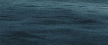 a whale is swimming in the ocean with its mouth wide open
