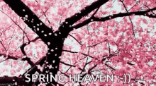 Spring Heaven April GIF