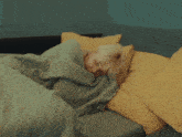 a person wrapped in a green blanket laying on a bed with yellow pillows