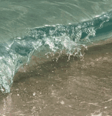 a bottle of perfume is on a stump on the beach