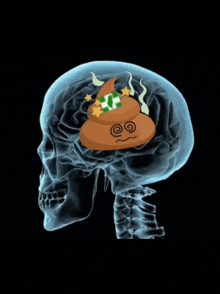 a skull with a pile of poop in it and the word walaun on it